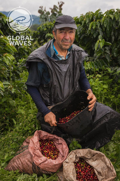 The Global Waves Hawksbill Half-Caf label supports local farms in Colombia. We're proud to support these impressive farmers, as well as their families and communities.