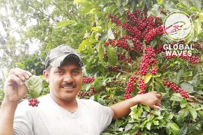 Global Waves Colombia Montañas single origin coffee supports a local Colombian family farm owned by Robinson Olivera and his wife. We're proud to support these entrepreneurial farmers, as well as their families, employees, and community.