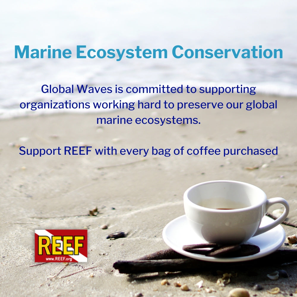 Global Waves is committed to supporting organizations working hard to preserve our global marine ecosystems. We're proud to supply premium fresh-roasted coffee from around the world to support REEF's marine conservation efforts.