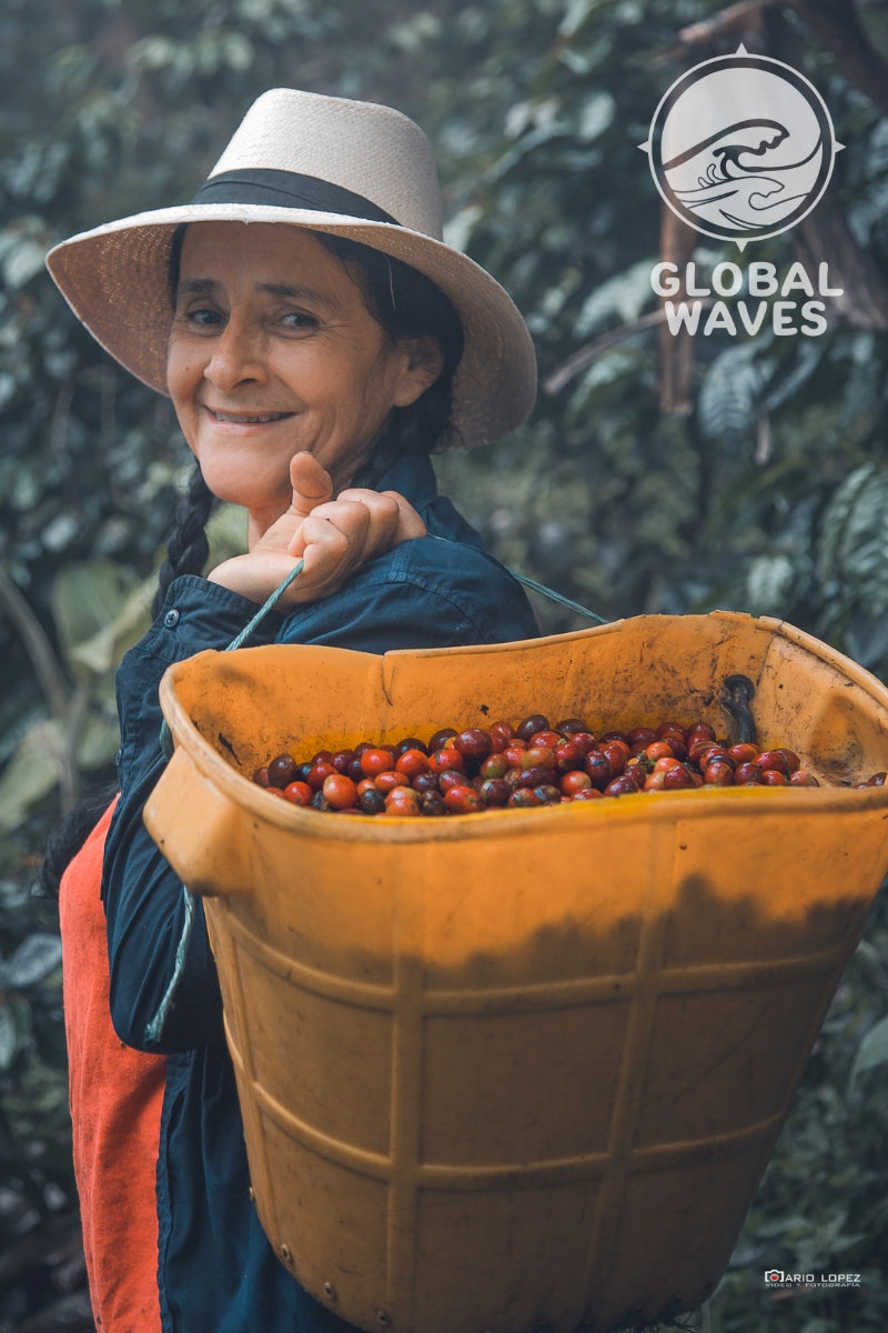 The Global Waves Zaculeu label is supporting a unique group of farms in Guatemala owned by the women who work them. We're proud to support these impressive women, as well as their families and communities.